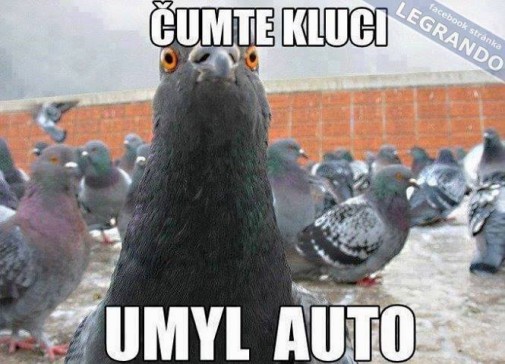 Príspevok 82170