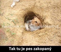 Príspevok 82783