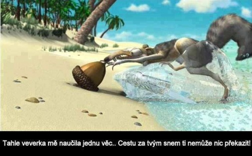 Príspevok 81939